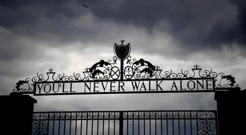 But you ll never