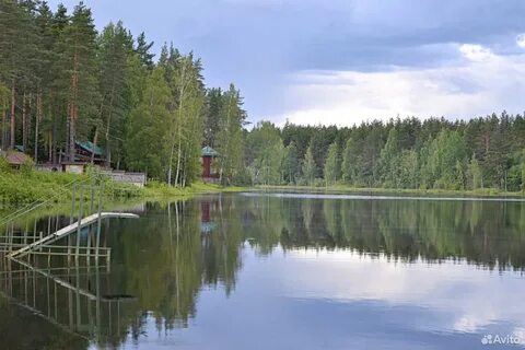 Лесной оазис