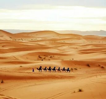 Sahara slowed