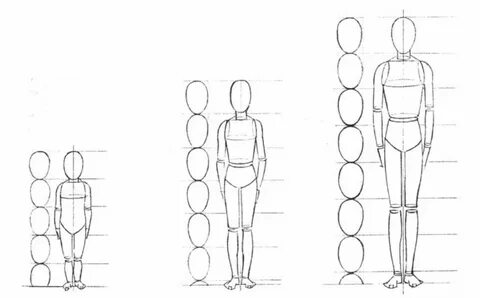 Как рисовать тело человека пропорции