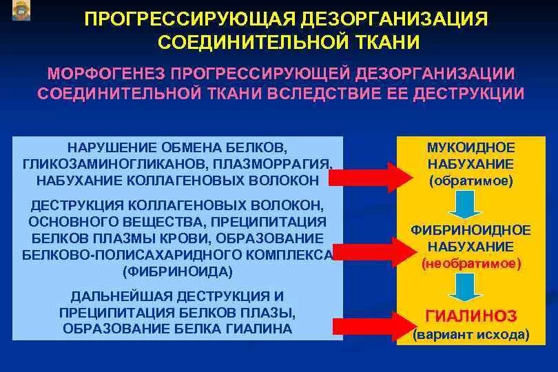 Выраженная дезорганизация. Стадии дезорганизации соединительной ткани. Этапы дезорганизации соединительной ткани. Обратимые стадии дезорганизации соединительной ткани. Фазы дезорганизации соединительной ткани.