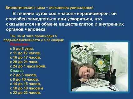 Что входит в человека часы