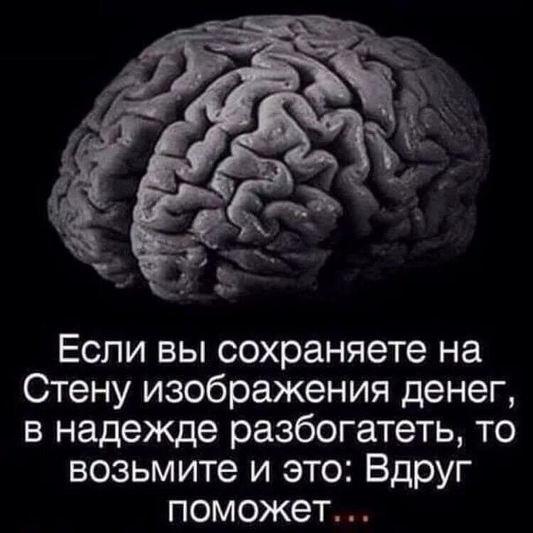 Анекдот про мозг. Смешные фразы про мозг. Цитаты про мозг. Фразы про мозг. Высказывания про мозги.