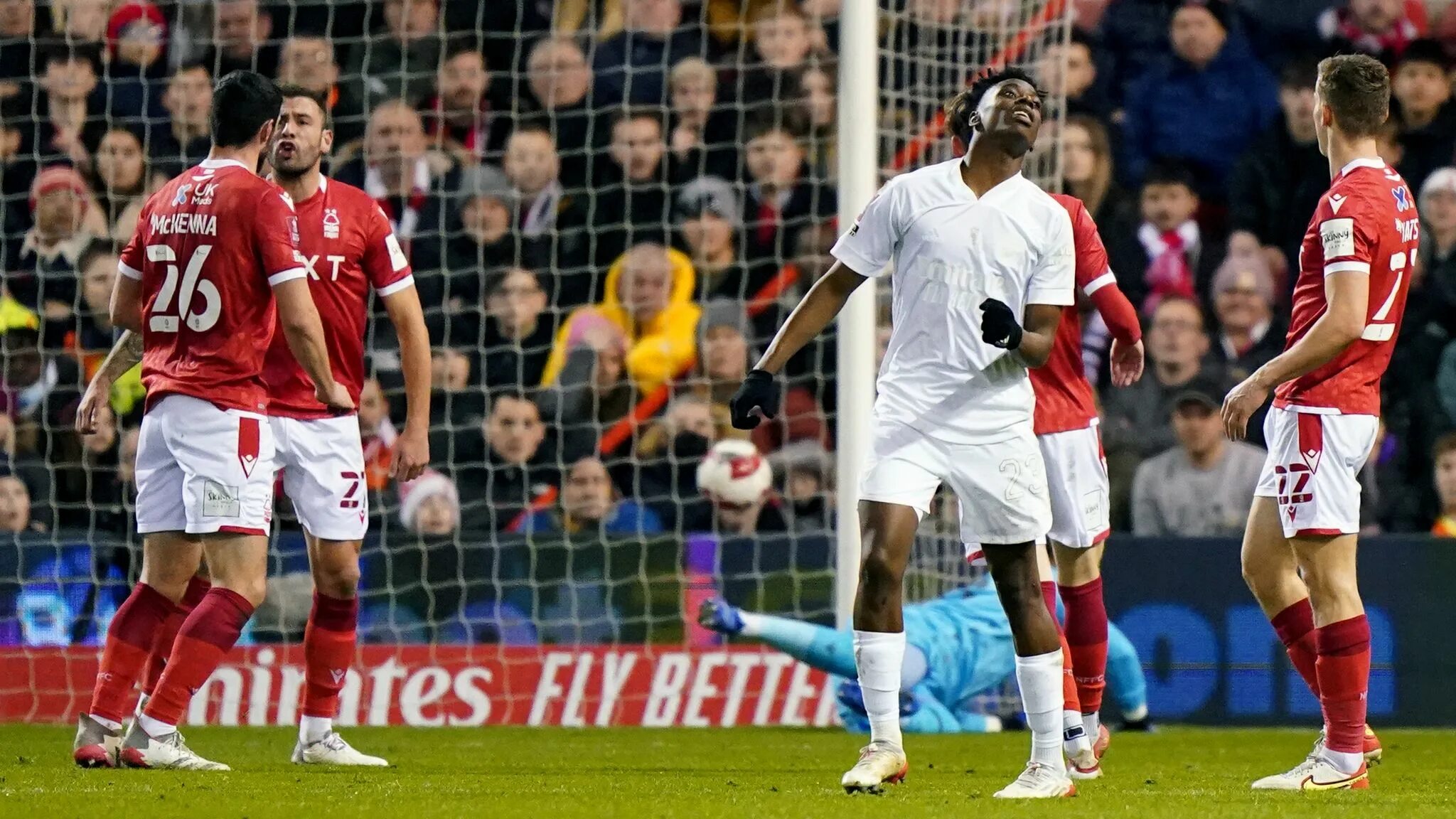 Forest arsenal