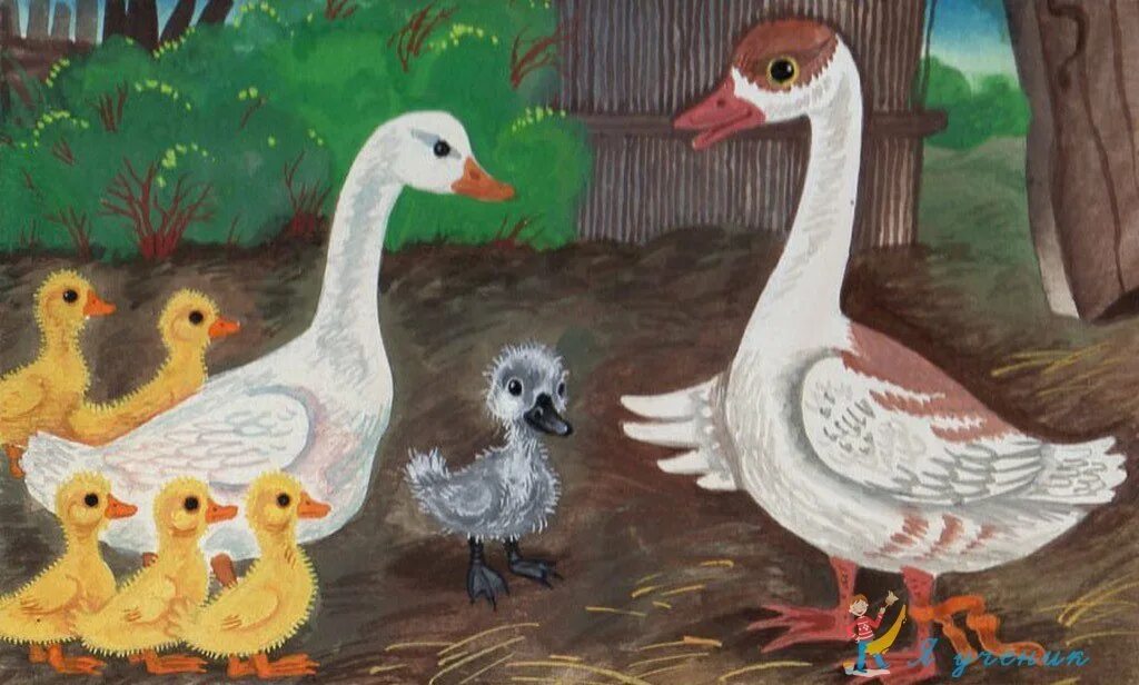 Сделай иллюстрации к тексту гадкий утенок. Сказка андерсена гадкий утенок. План гадкий утенок 3 класс литературное чтение. Иллюстрации к гадкому утенку андерсена. Иллюстрация к сказке гадкий утенок.