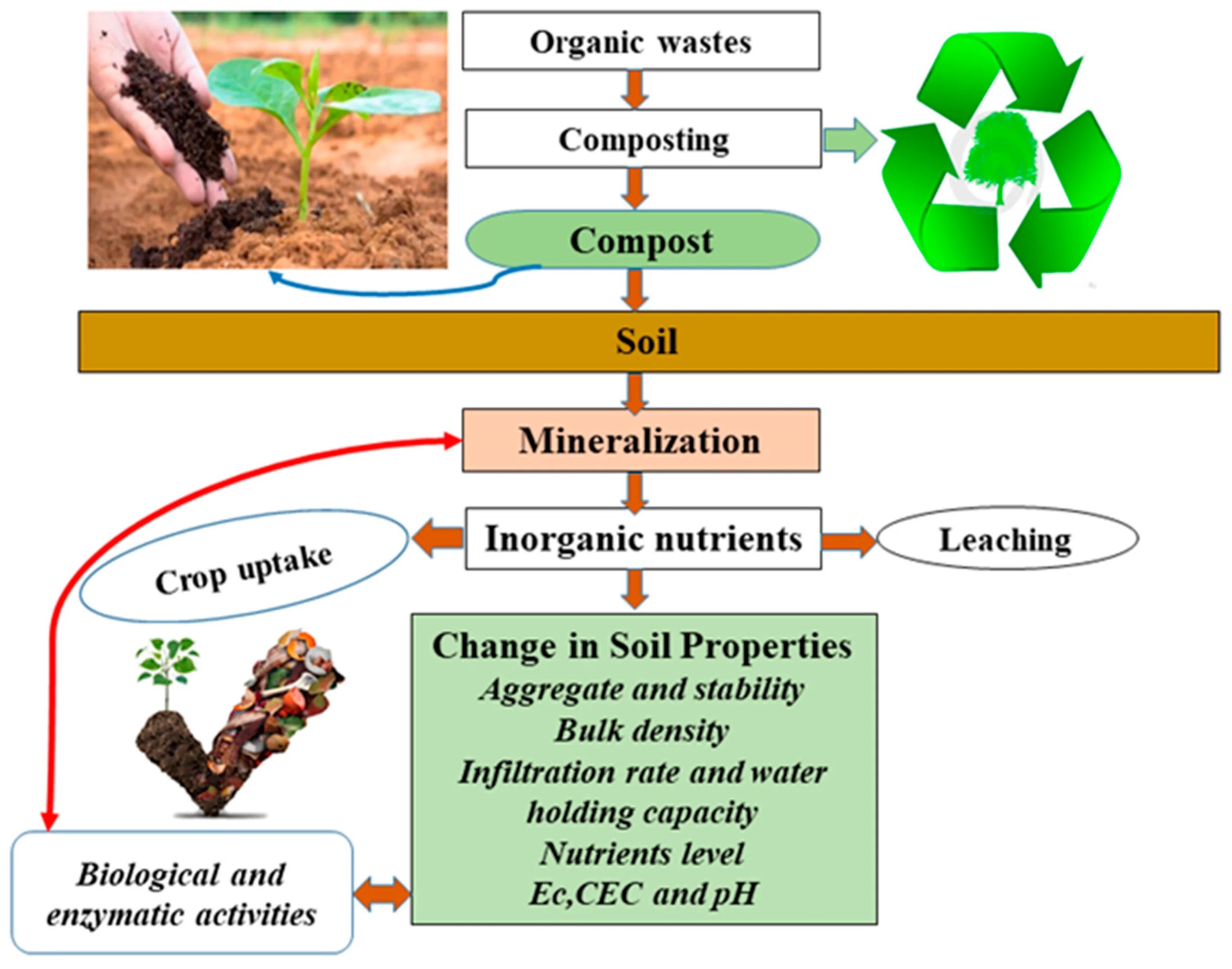 Soil processing