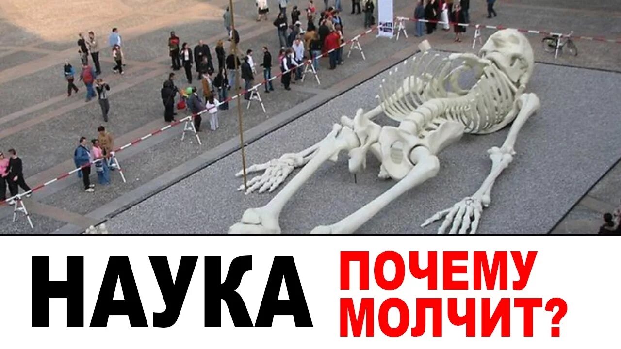18 метров человек