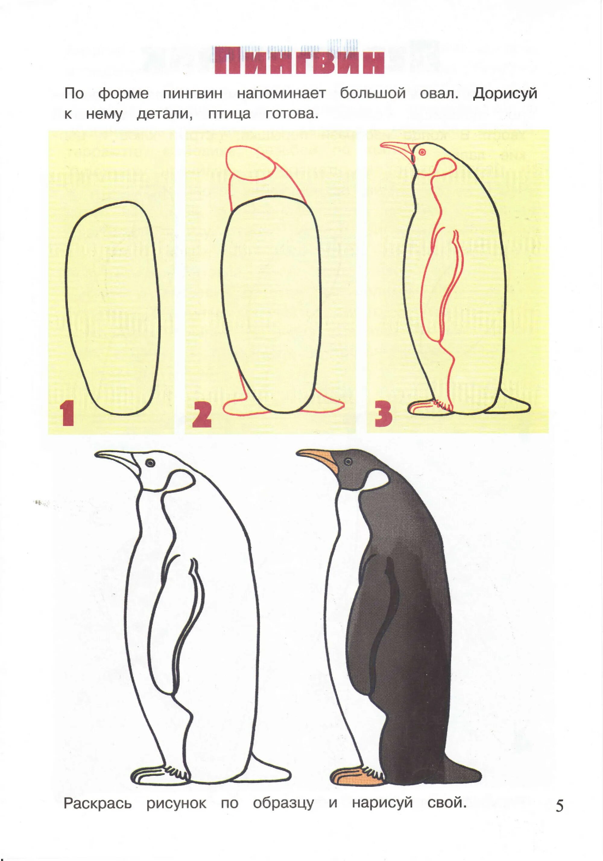 13 урок изо. Поэтапное рисование пингвина для дошкольников. Нарисовать пингвина карандашом поэтапно для детей. Пингвин пошаговое рисование. Пингвин пошаговое рисование для детей.