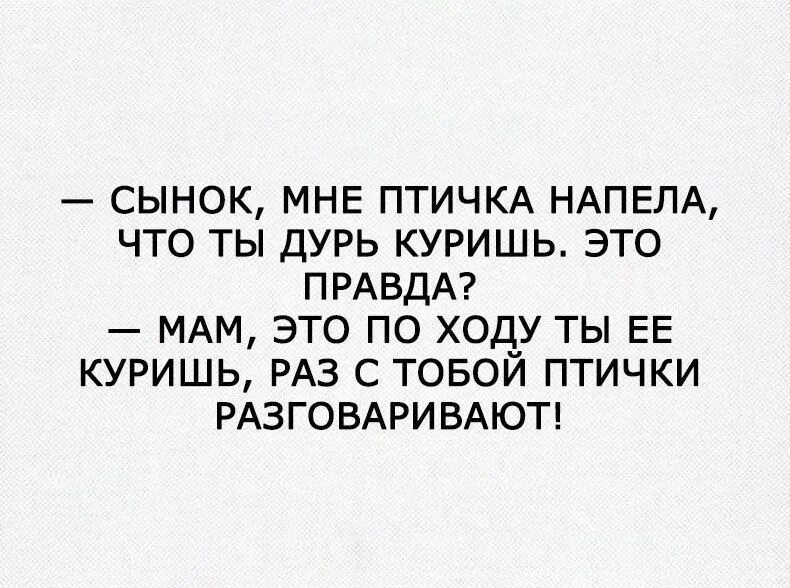 Ежемесячные только по дури. Сынок мне тут птичка напела что ты куришь. Птичка напела. Птичка напела Мем. Курим дурь.