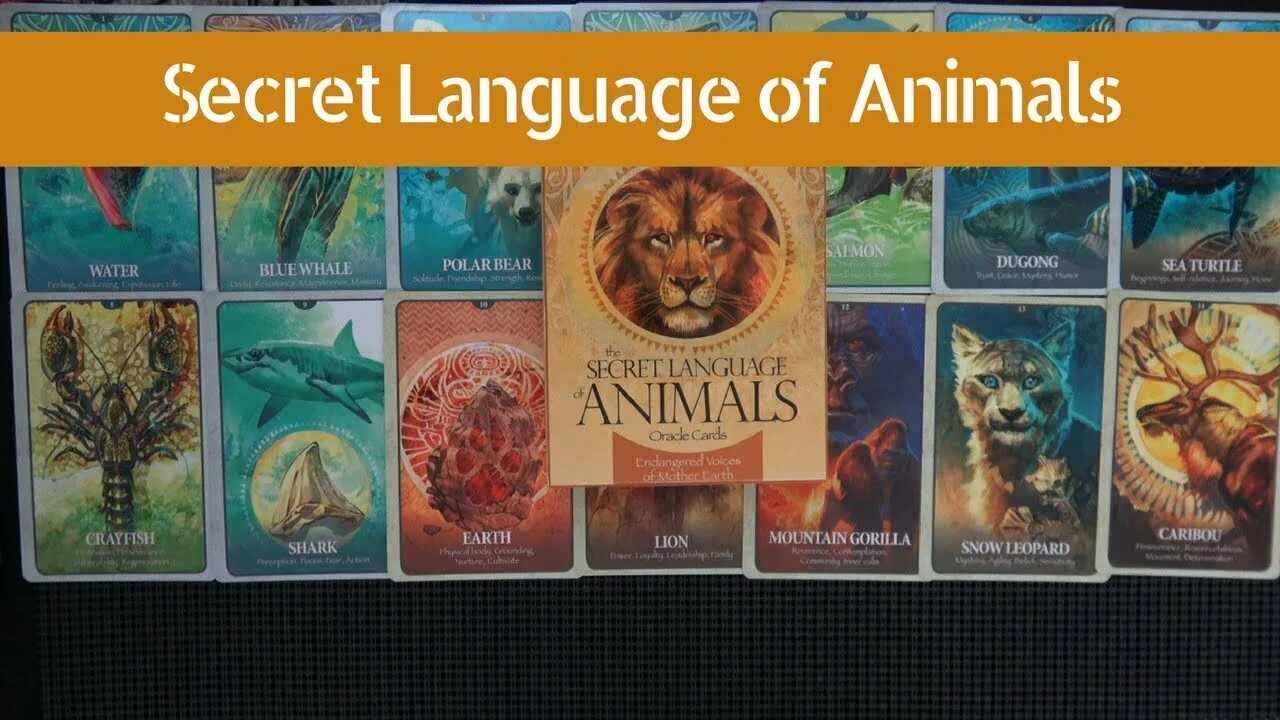 Secret languages. Secret language of animals. The Secret language of Light. Secret language animals значение карт. Secret language of Birthdays with Gary goldscheineder.