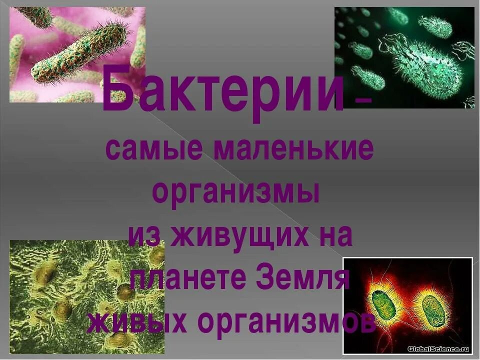 В организм в небольших