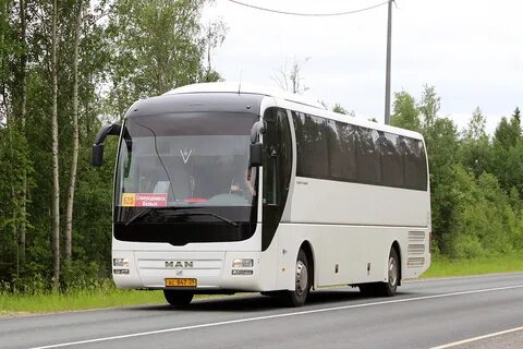 Автобус северодвинск вельск
