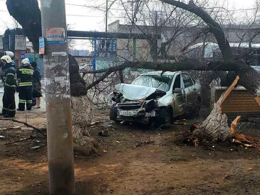 АВТОМОБИЛЛ ьврезался в дерево\. Машина въехала в дерево.