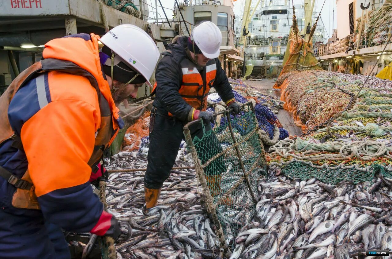 Рыбная промышленность является отраслью специализации. Рыбопромышленный комплекс дальнего Востока. Рыбная промышленность дальнего Востока. Рыбный промысел в Мурманский рыбный порт. Рыбопромышленный комплекс Сахалин.