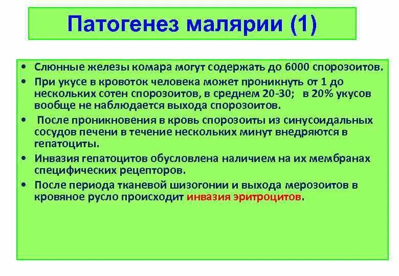 Патогенез трехдневной малярии. Патогенез при малярии. Тропическая малярия этиология. Патогенез тропической малярии. Течение тропической малярии