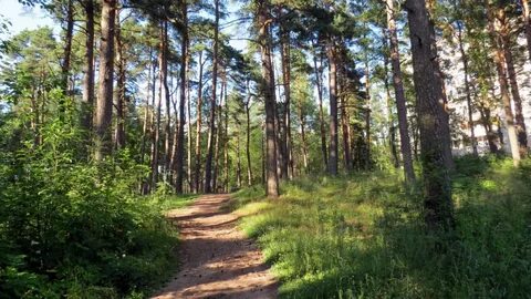 Приветнинское ленинградская область