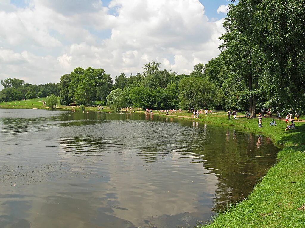 Парк Кузьминки Шибаевский пруд. Шибаевский пруд в парке Кузьминки. Парк Кузьминки озеро. Мишкин пруд Кузьминки. Пруд улов