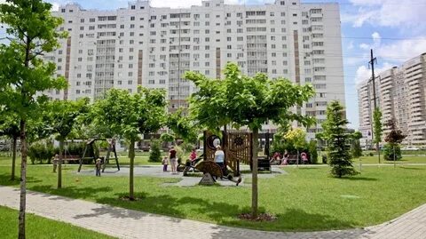 Озеленение краснодар