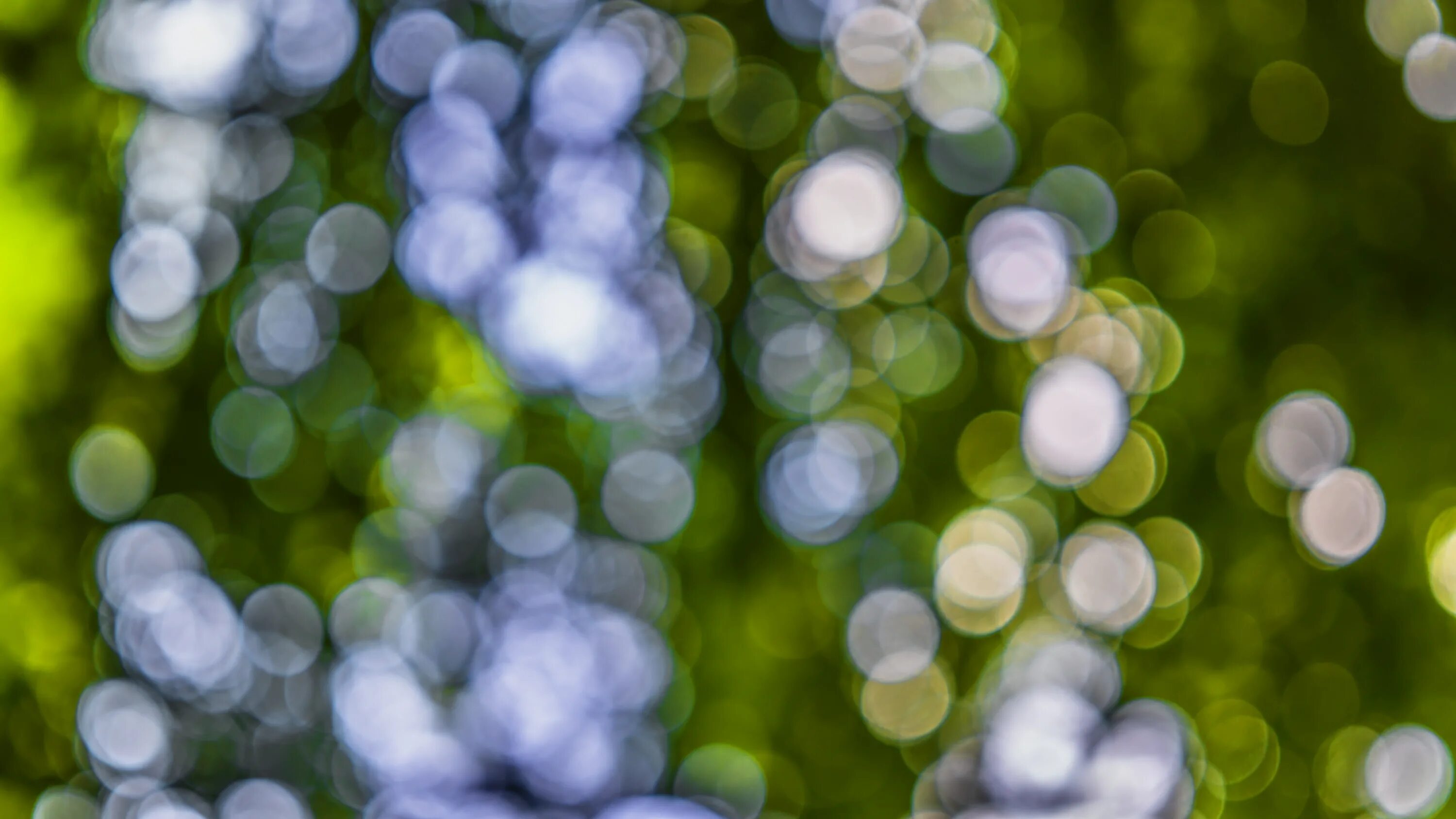 Backdrop blur