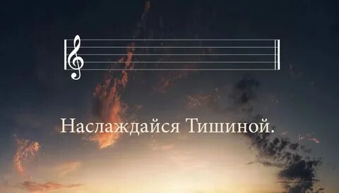 Тишина изредка прерывалась звуками