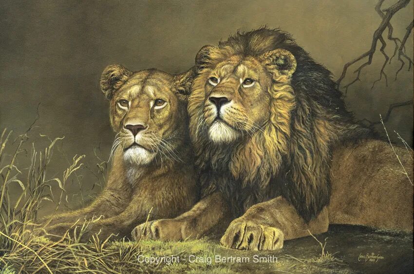 Книга король лев 1994. Лев сражается. 2 льва. Картина "лев с семьёй". Красивые фото львов.
