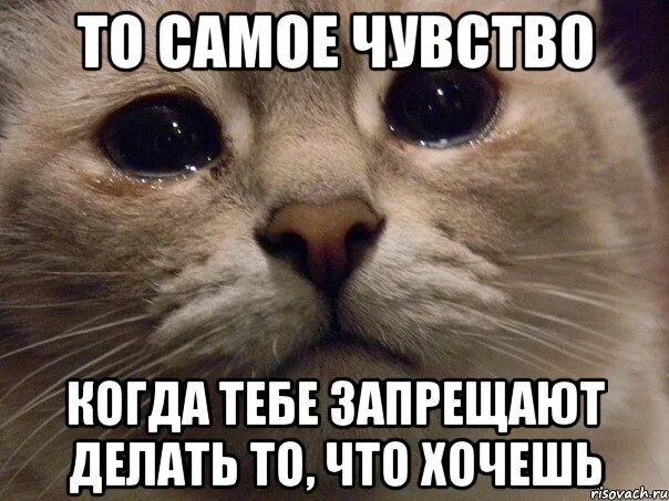 Запретить тебя помнить как запретить дышать