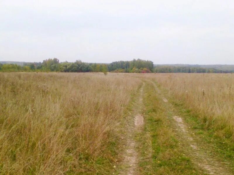 Арпыли Тарусский район. Кольцово Тарусский район. Деревня Арпыли Калужская область Тарусский район поселок. Деревня Фатьяново Калужская область Тарусский район.