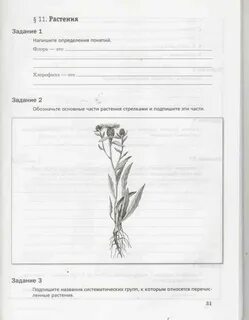 Биология пятый класс страница 25