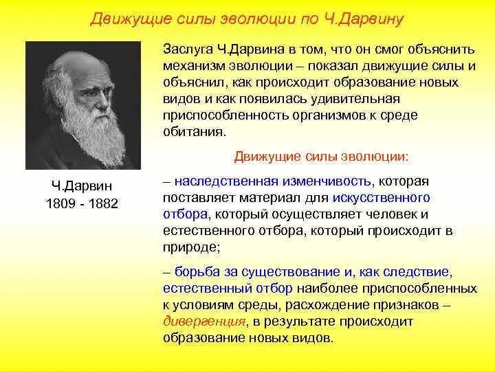 Теория дарвина движущие силы. Движущие силы эволюции по ч Дарвину. Механизм эволюции по Дарвину. Ч Дарвин заслуги. . Эволюционное учение ч. Дарвина. Движущие силы эволюции..