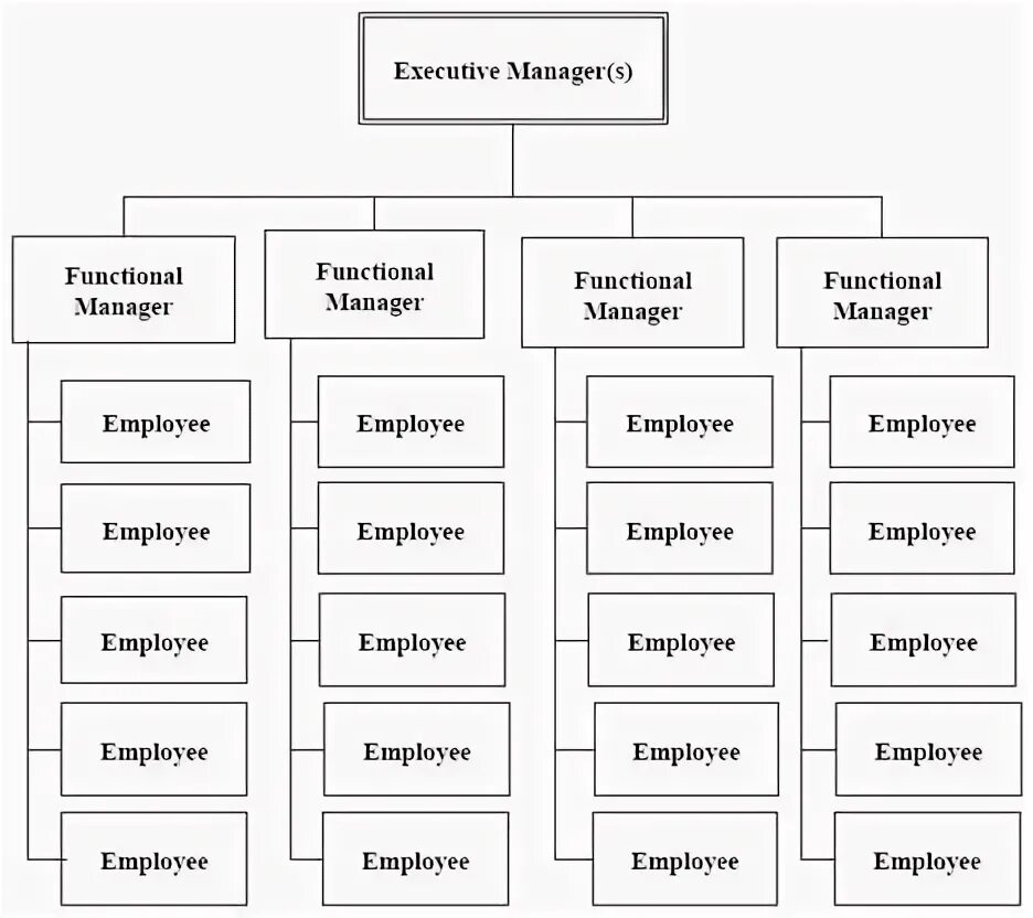 Project Organizational structure. Functional structure example. Linear functional Organizational structure. Management functions. Manager functions