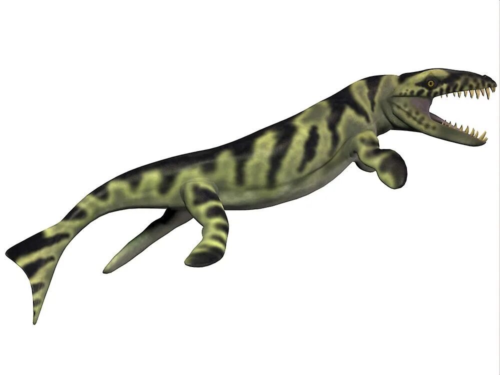 Дакозавр. Дакозавр (dakosaurus). дакозавр маттел. dakosaurus maximus.