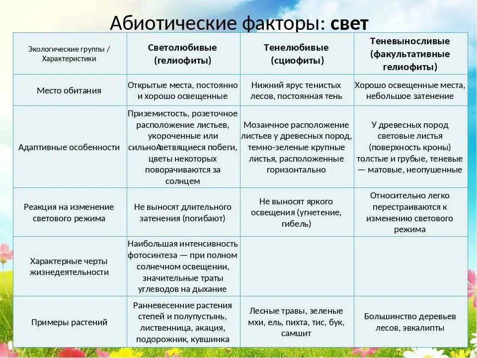 Тест факторы среды 7 класс биология. Абиотические факторы среды это в биологии. Абиотические факторы свет температура влажность. Абиотические факторы температура примеры таблица. Таблица 2 действие абиотических факторов.