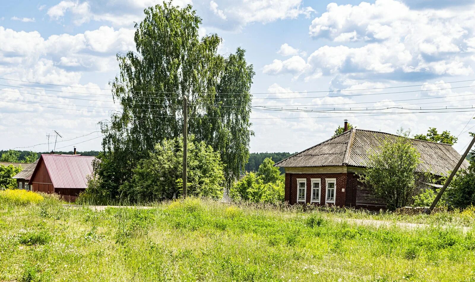 Полгода ныр. Полгода ныр