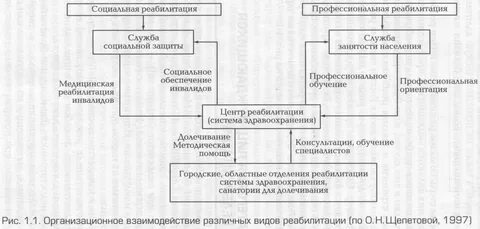 Виды социально реабилитационных услуг