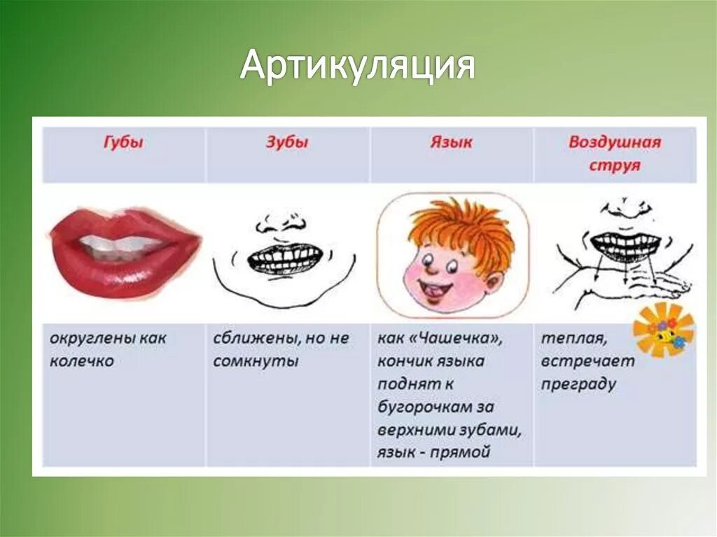 Артикуляция ж. Артикуляционная характеристика ш. Схема артикуляции звука ж для детей. Губы зубы язык воздушная струя. Губы с зубами.