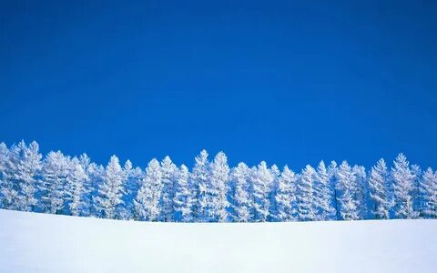 Белый снег голубое небо