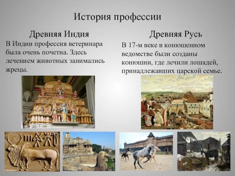 История ветеринара. История профессии ветеринар. Возникновение профессии ветеринар. Ветеринар древняя профессия. Ветеринары в древней Индии.