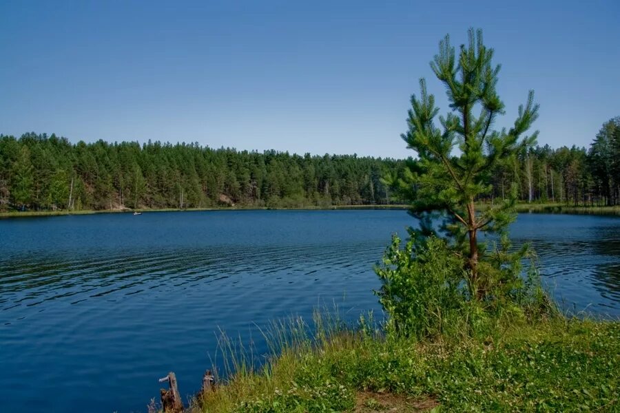 Озеро нижнее отзывы. Светлые озера Нижегородской области. Светлые озера Нижегородской области Фролищи. Озеро светлое Нижегородская область Володарский район. Флорищи Нижегородской области озеро.