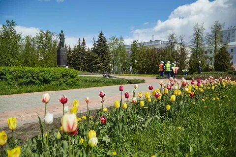 Цветы дзержинск нижегородская