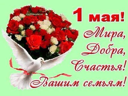 Май ваша