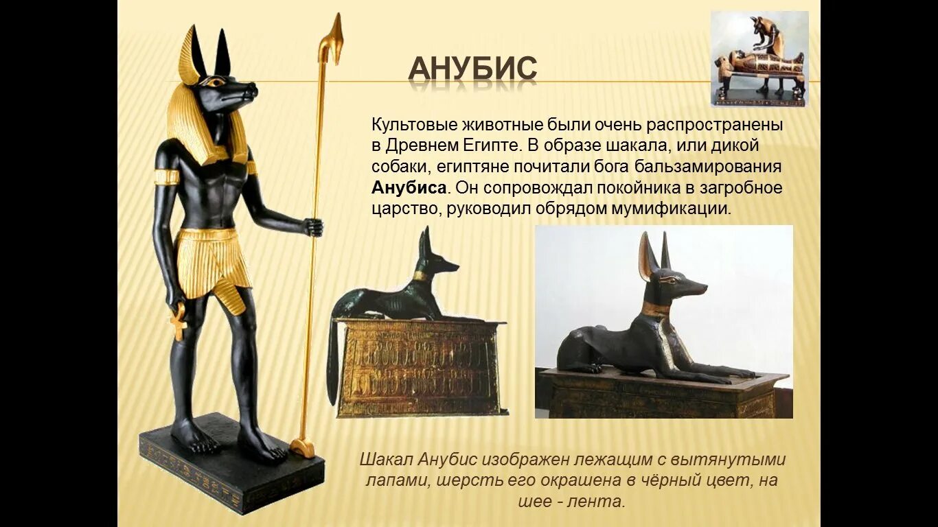 Животные богов египта. Анубис Бог древнего Египта. Древняя статуя Анубиса в Египте. Бог Анубис в образе шакала. Анубис проводник в загробный мир.