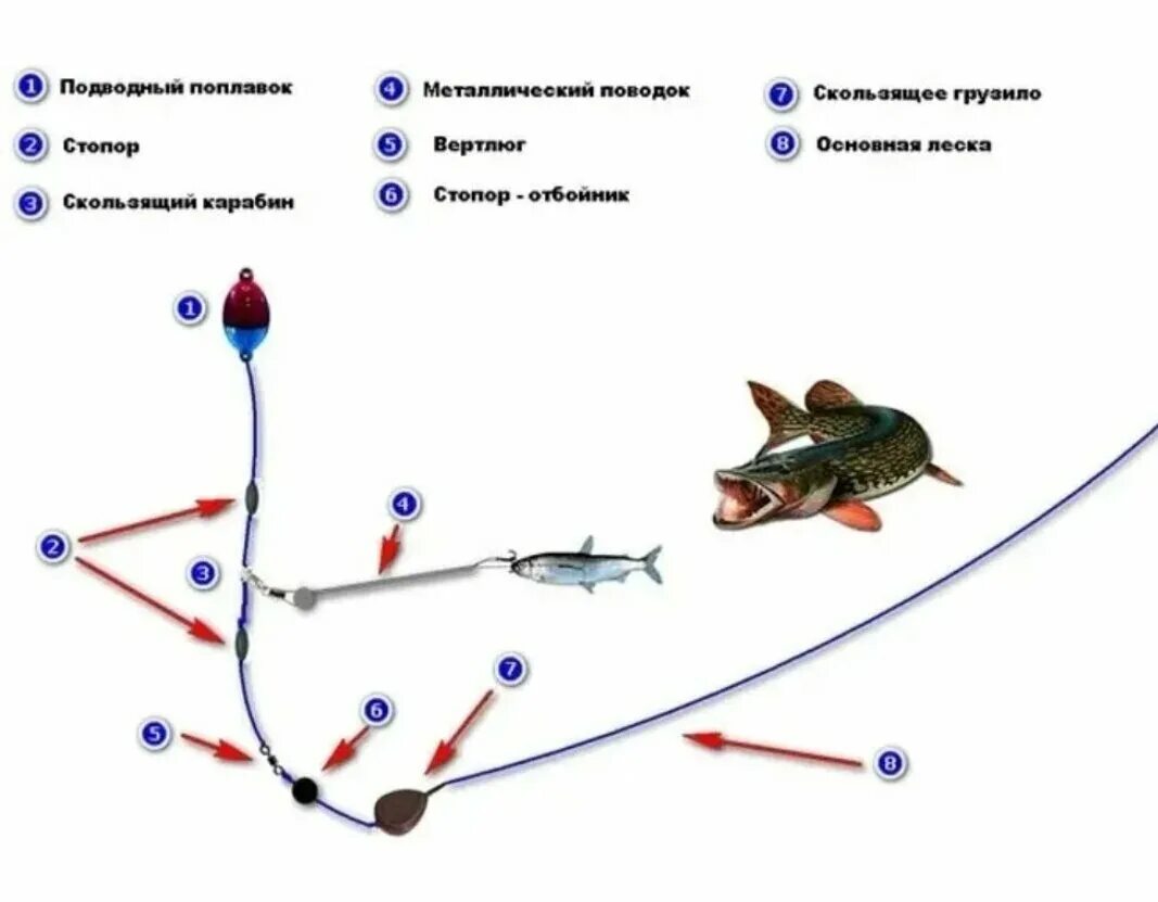 Сколько часов у донка. Монтаж донной снасти для ловли судака. Донная снасть на течении монтаж. Монтаж снасти на щуку спиннинг. Оснастка для ловли судака на живца с берега на донку.