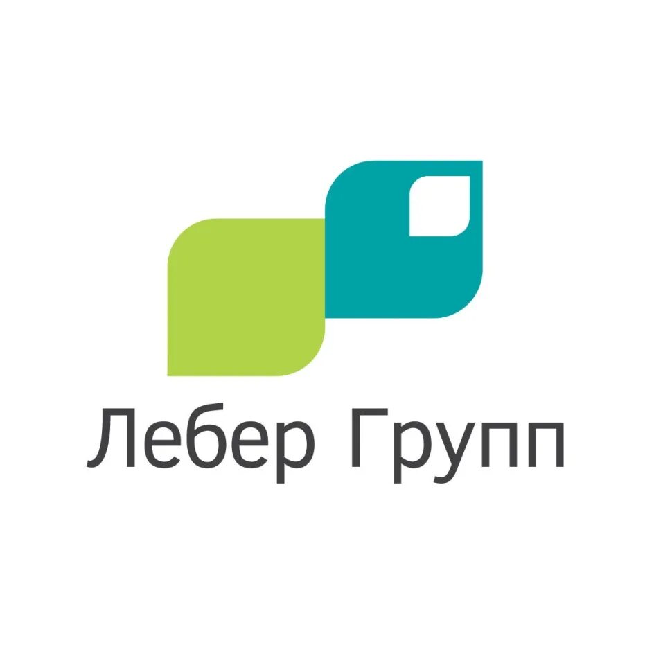 Лебер групп. Лебер групп детские. лебер групп каталог. лебер групп тренажеры.