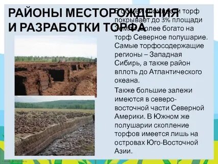 Торф где