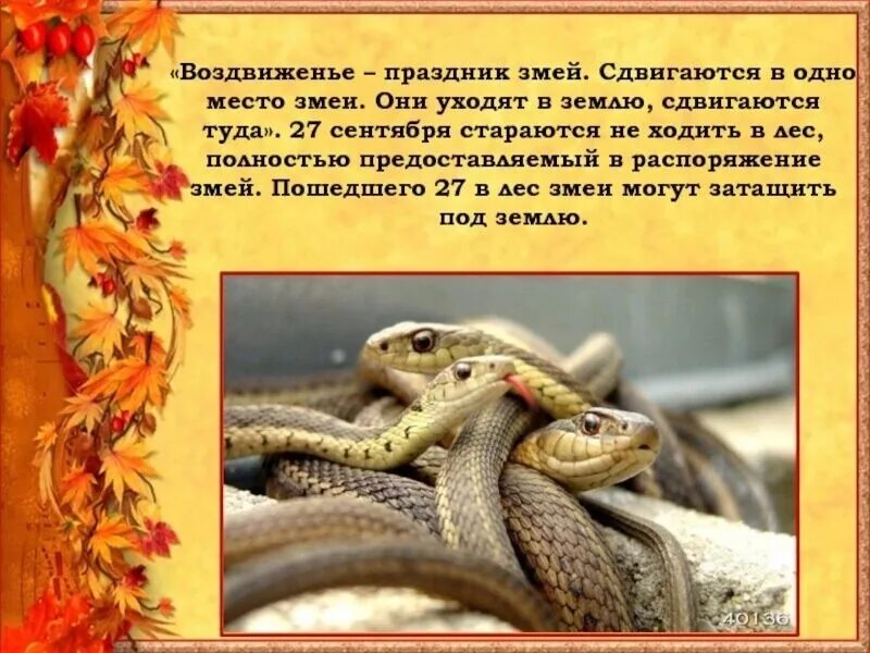 Воздвижение змей. Воздвижение змеи. змеиный праздник. праздник змей. праздник змей 27 сентября.