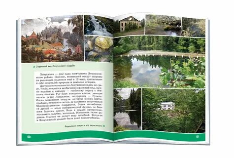 Книга родной край