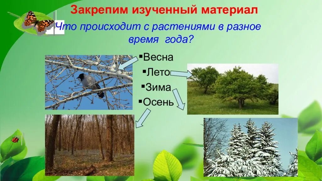 Какие изменения происходят весной в жизни животных. Сезонные изменения в природе. Сезонные изменения растений. Сезонные изменения в жизни растений. Сезонные изменения растений и животных.