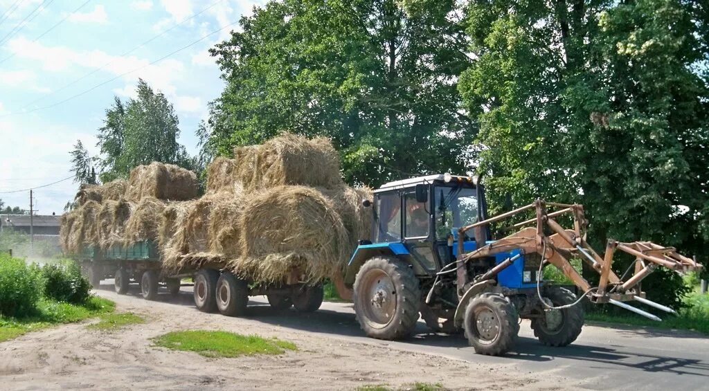 Тракторная 82. Трактор Беларус 82 с телегой ПТС 1. Прицеп для рулонов МТЗ 1221. Трактор МТЗ-82 С прицепом для соломы. Тюковщик для МТЗ 82.