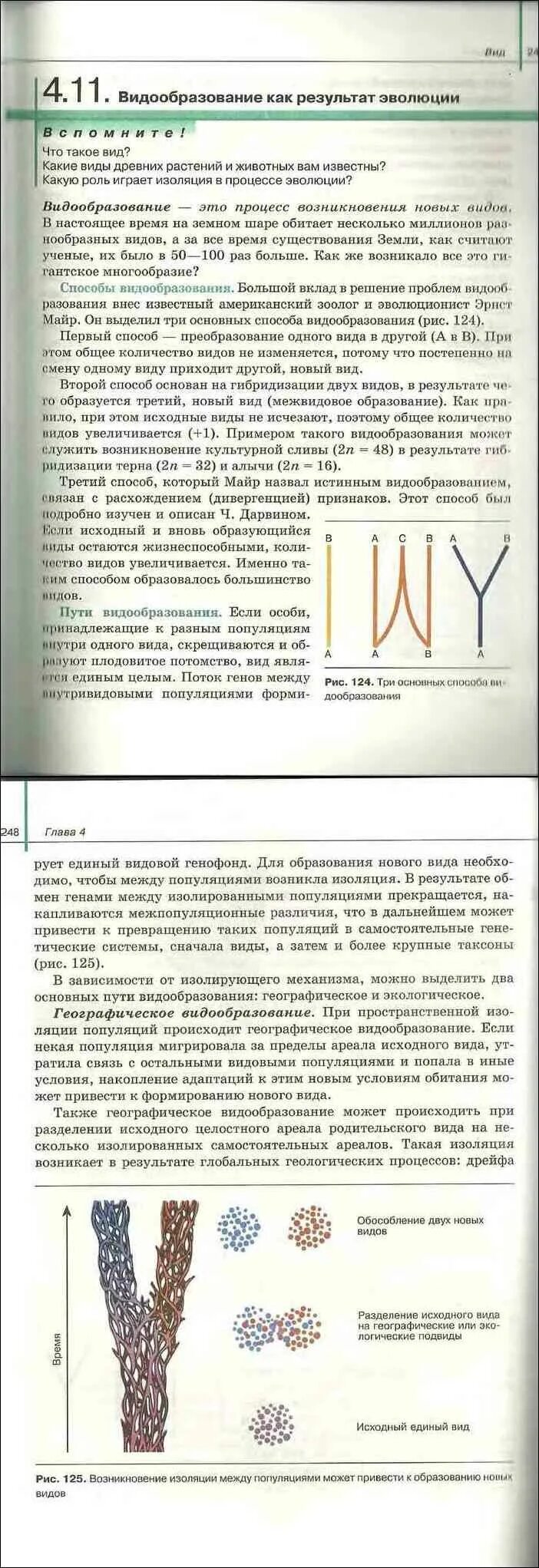 Сивоглазов агафонова захарова биология 11 класс. Читать учебник биологии Агафонова Сивоглазов 10 класс. Биология 11 класс учебник Сивоглазов читать. Видообразование.