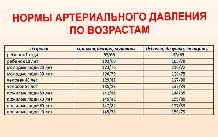 Норма печени у женщин после 60. Норма печени у женщин после 60